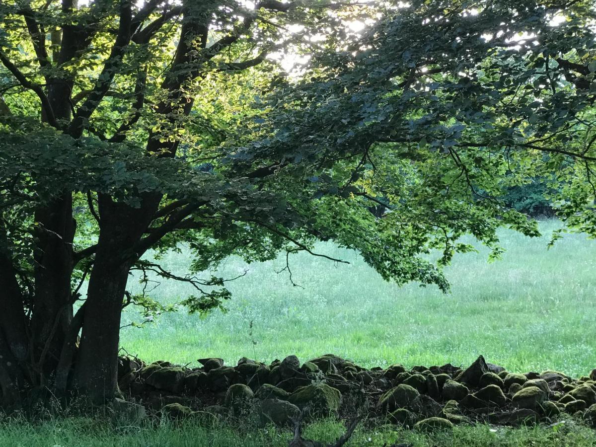 Oesterlen - Baestekille Backar Sankt Olof Exteriér fotografie