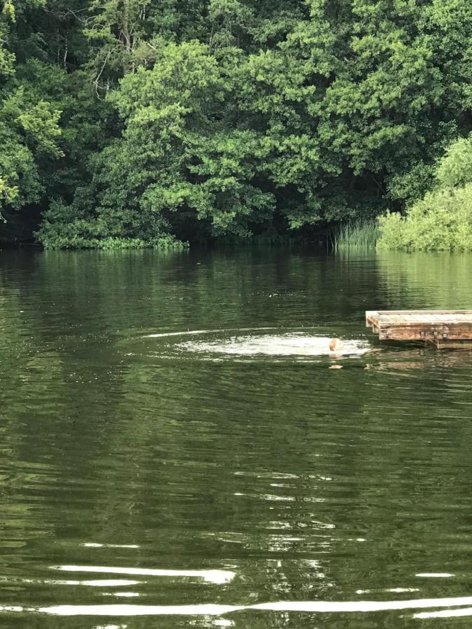 Oesterlen - Baestekille Backar Sankt Olof Exteriér fotografie