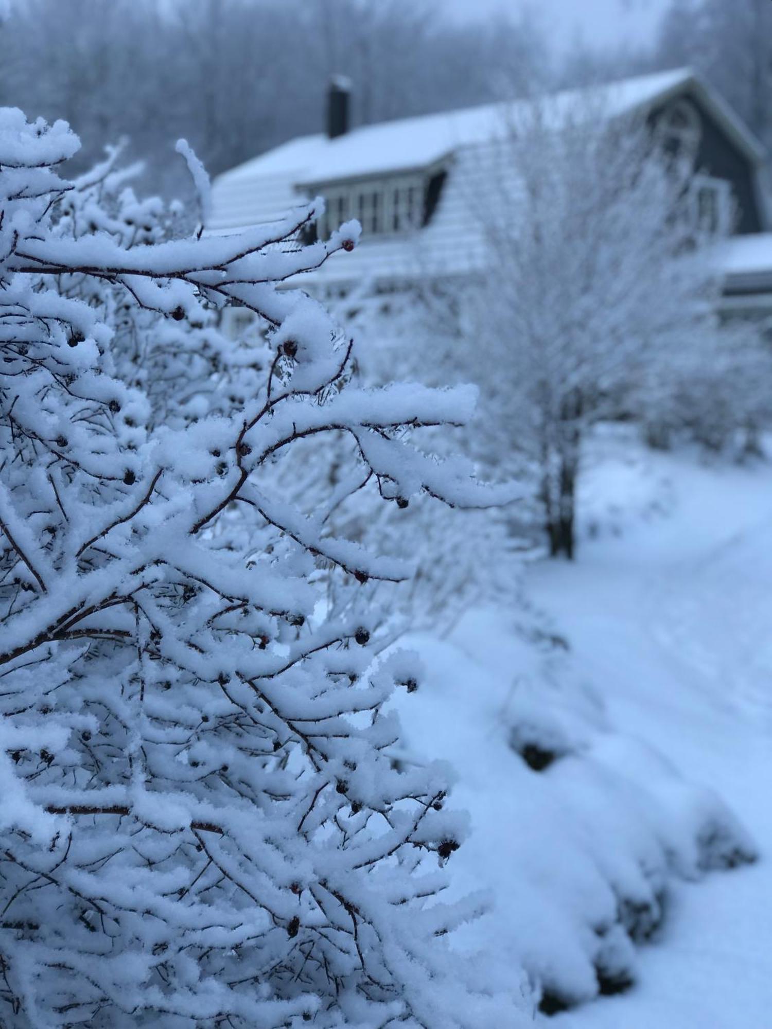 Oesterlen - Baestekille Backar Sankt Olof Exteriér fotografie